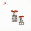 Stainless steel gate valve